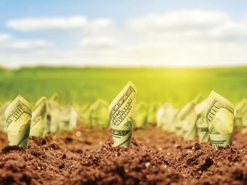Billets de dollar roulés poussant de la terre comme des plantes