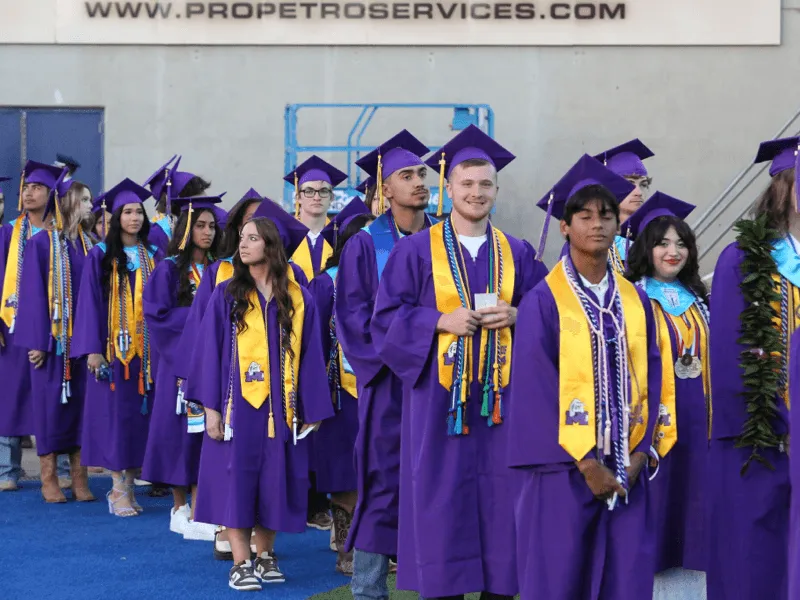 Diplômés en toge violette lors d’une remise de diplômes