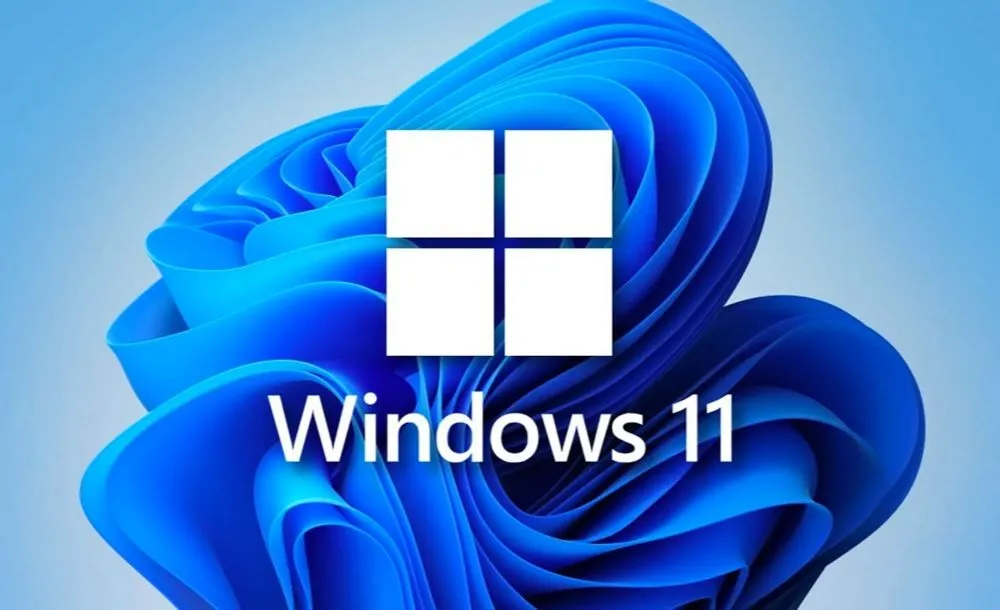 Installer l’affichage dynamique sur votre lecteur multimédia Microsoft Windows